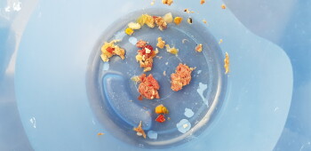 Consumer Review - Food Safety Kingston Beach Early Learning Centre, Beach Road, Kingston Beach TAS, Australia Raw meat My 22 month... photo #3