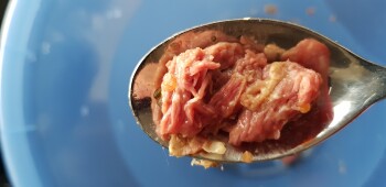 Consumer Review - Food Safety Kingston Beach Early Learning Centre, Beach Road, Kingston Beach TAS, Australia Raw meat My 22 month... photo #4