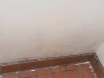 Consumer Food Safety Report Dairy Queen, 398 Lancaster Drive Northeast, Salem, OR, USA Works there for about 3 weeks and the GM... photo #6