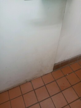 Consumer Food Safety Report Dairy Queen, 398 Lancaster Drive Northeast, Salem, OR, USA Works there for about 3 weeks and the GM... photo #7