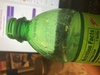 Consumer Review - Food Safety Mountain Dew, Walmart / Dollar General, Rochester, NY, USA drinking Mountain Dew. It was from either... photo #2