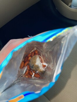 Consumer Food Safety Report Blue Diamond Roasted Salted Almonds, Redner's Fresh Markets, 2126 N Fountain Green Rd, Bel Air, MD 2... photo #1