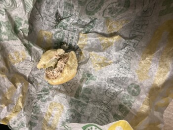 مراجعة المستهلك - سلامة الغذاء Subway, Meridian Avenue, San Jose, CA, USA I ate a tuna sub ..and two hours later my eye was twitchi... صورة فوتوغرافية #2