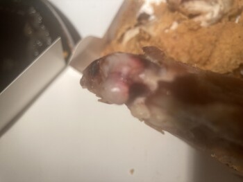 Consumer Review - Food Safety Popeyes Louisiana Kitchen, Northeast Martin Luther King Junior Boulevard, Portland, OR, USA They gav... photo #2