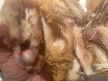 Consumer Review - Food Safety Popeyes Louisiana Kitchen, Northeast Martin Luther King Junior Boulevard, Portland, OR, USA They gav... photo #3