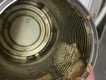 Consumer Food Safety Report Tesco Superstore, Blundells Way, Tiverton, UK Tesco's own adult dog food 'Complete & Balanced NUTRIT... photo #2