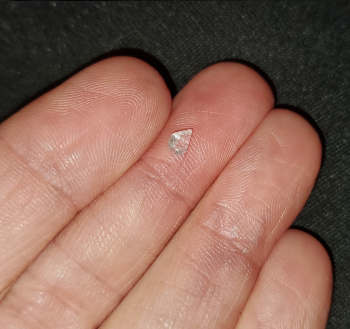 Consumer Food Safety Report Walmart Supercenter, Pike Street, Parkersburg, WV, USA found glass or plastic shards in canned salmo... photo #3