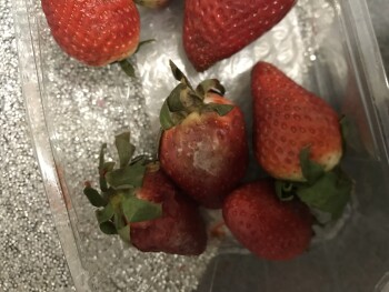 Consumer Review - Food Safety Asda Leyton Mills Superstore, Marshall Road, London, UK they sent gone on fruit when I did my online... photo #4