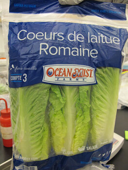 Rappel d'aliments Ocean Mist Farms Romaine Hearts (Coeurs de laitue Romaine) - Advisory due to Cyclospora The Minnesot... photo #2