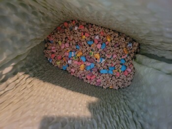 Consumer Review - Food Safety Walmart Supercenter, Walmart Drive, Moundsville, WV, USA I remembered how much I loved Lucky Charms... photo #5