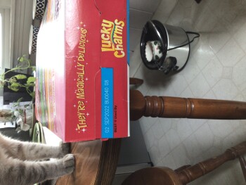 Consumer Review - Food Safety General Mills Lucky charms, Buffalo, NY, USA I got sick both times after eating a bowl of Lucky char... photo #1