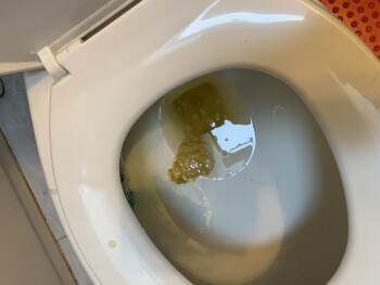 Consumer Review - Food Safety Lucky Charms, Philadelphia, PA, USA I’ve been getting violently sick, consisting of severe stomach p... photo #2