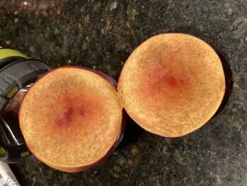 消费者评论 - 食品安全 Sam's Club, Gosford Road, Bakersfield, CA, USA Today ,  Some nectarines from here I bought a bag on... 照片 #4