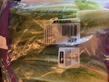 Consumer Review - Food Safety Romaine Lettuce Hearts, Walmart Supercenter, Arizona 90, Sierra Vista, AZ, USA I purchased Organic M... photo #2