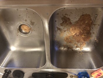 Verbraucherbewertung – Lebensmittelsicherheit Wendy's, University Avenue West, Saint Paul, MN, USA Have severe food poisoning from a meal I had ye... Foto #2