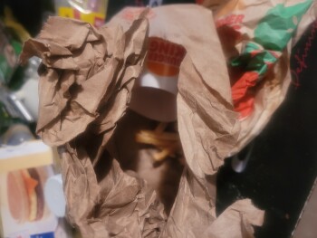 Consumer Review - Food Safety Burger King, Creswell Lane, Opelousas, LA, USA Ate this Thursday afternoon and Friday morning felt h... photo #1