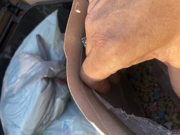 Consumer Review - Food Safety Lucky charms, WinCo Foods, West Bell Road, Phoenix, AZ, USA Ate them and violently vomited within an... photo #2