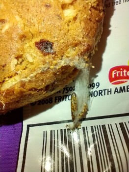 Consumer Food Safety Report Grandma's brand cookies, Vending Machine, Embassy Suites by Hilton Huntsville Hotel & Spa, Monroe St... photo #4