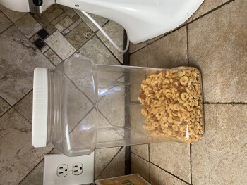 مراجعة المستهلك - سلامة الغذاء Cheerios oat crunch oats & honey, Walmart Supercenter, 12300 Lake June Rd, Balch Springs, TX 75180,... صورة فوتوغرافية #2