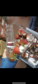 Consumer Food Safety Report Wendy's, Scioto Trail, Portsmouth, OH, USA Don’t eat anything with “fresh” strawberries at here they... photo #2