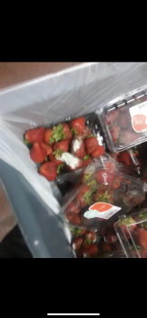 Consumer Food Safety Report Wendy's, Scioto Trail, Portsmouth, OH, USA Don’t eat anything with “fresh” strawberries at here they... photo #3