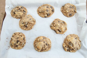 Retiro de alimentos Ginger Cookies and Oatmeal Choc Chip Cookies - recalled due to pieces of metal Various brands of Gin... foto #2