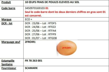 Food Recall E.LECLERC ECO + Fresh eggs from Free-Range Hen - recalled due to Salmonella Rappel Conso announced t... photo #2