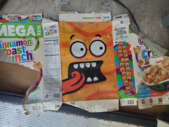 Consumer Review - Food Safety Dollar General, East Pine Log Road, Aiken, SC, USA GENERAL MILLS TRIX AND CINNAMON TOAST CRUNCH Yes,... photo #2