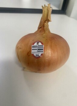 Food Recall A&M Farms Whole Vidalia onions - recalled due to Listeria monocytogenes A&M Farms of Lyons, Georgia,... photo #2