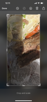 消费者评论 - 食品安全 The Habit Burger Grill, 638 Camino De Los Mares, San Clemente, CA, USA Saturday July 9,22  Undercook... 照片 #3