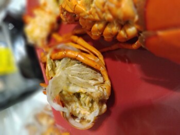 Consumer Review - Food Safety Walmart Supercenter, 2801 Airport Thruway, Columbus, GA 31909, USA Tonight we bought lobster and all... photo #1