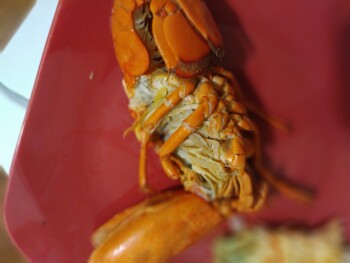 Consumer Review - Food Safety Walmart Supercenter, 2801 Airport Thruway, Columbus, GA 31909, USA Tonight we bought lobster and all... photo #2
