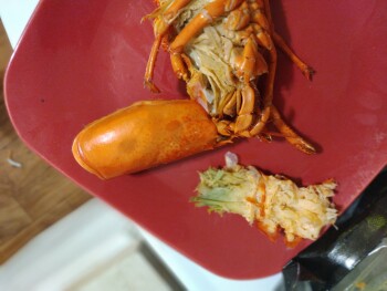 Consumer Review - Food Safety Walmart Supercenter, 2801 Airport Thruway, Columbus, GA 31909, USA Tonight we bought lobster and all... photo #5