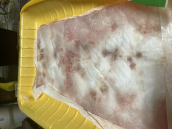 Consumer Review - Food Safety Sam's Club, Marlandwood Road, Temple, TX, USA Happened last night. I bought chicken yesterday and as... photo #2