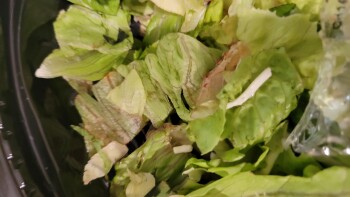Consumer Review - Food Safety Domino's Pizza, Elyria, OH, USA Bad pizza Salads are clearly spoiled brown lettuce and spoiled chick... photo #2