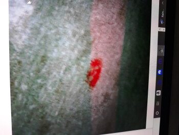 Bericht über die Lebensmittelsicherheit der Verbraucher Taco Bell, Tacoma, WA 98445, USA Blood on my wrapper Foto #9