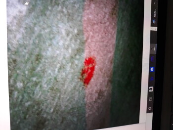 Bericht über die Lebensmittelsicherheit der Verbraucher Taco Bell, Tacoma, WA 98445, USA Blood on my wrapper Foto #8