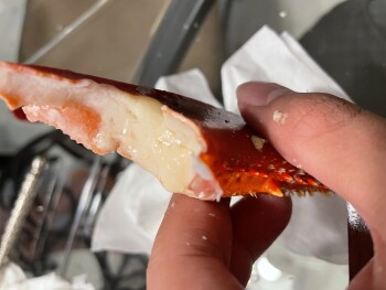مراجعة المستهلك - سلامة الغذاء ShopRite of Aberdeen, NJ, Lloyd Road, Aberdeen Township, NJ, USA They sold “fresh” lobster. Turns ou... صورة فوتوغرافية #2