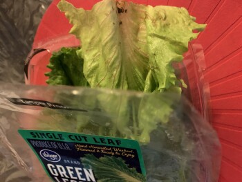 Consumer Food Safety Report Smith's, 4965 E Sahara Ave, Las Vegas, NV, USA Hi, I used always their lettuce(  Hand washed , trimm... photo #2