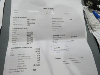 Avis du consommateur - Sécurité alimentaire Ambassador In Paradise Resort, Malay, Aklan, Philippines I am so sorry it has come to this but we ha... photo #2
