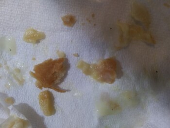 Consumer Food Safety Report Marie Callenders, Idaho Falls, ID 83402, USA I have had to throw away 2 Marie Callenders Chicken Pot... photo #1