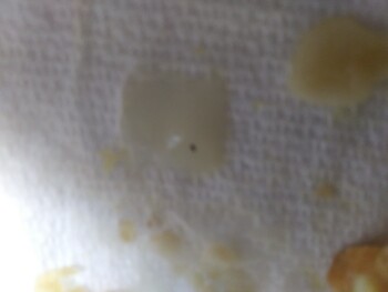 Consumer Food Safety Report Marie Callenders, Idaho Falls, ID 83402, USA I have had to throw away 2 Marie Callenders Chicken Pot... photo #3