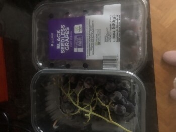 Consumer Review - Food Safety Lidl, Bohemia Road, Hastings, Saint Leonards-on-sea, UK I froze the grapes to return along with anot... photo #1