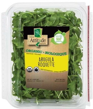 Food Recall Vegpro salad products - recalled due to pieces of plastic CFIA announced that Vegpro International I... photo #3