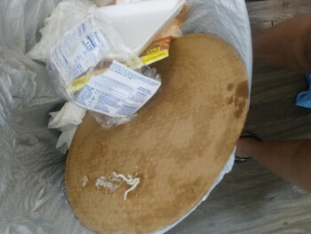 Consumer Review - Food Safety Dollar General, Secor Road, Toledo, OH 43623, USA Last night, Tombstone pizza photo #1