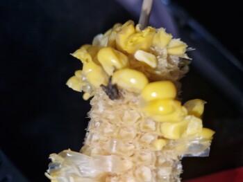 Consumer Review - Food Safety KFC Neasden - Neasden Lane, Neasden Lane, London, UK Bought a zinger burger meal with corn and a tan... photo #1