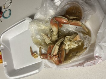 Verbraucherbewertung – Lebensmittelsicherheit Rustic Inn Crabhouse, Anglers Avenue, Fort Lauderdale, FL, USA Dungeoness crab, Went to this locatio... Foto #2
