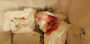 Consumer Review - Food Safety McDonald's, 10795 N Oracle Rd, Oro Valley, AZ 85737, United States I ordered a chocolate shake from... photo #1