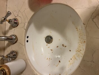 Consumer Review - Food Safety McDonald's Caringbah, President Avenue, Caringbah NSW, Australia I ate mcchicken burger 2 nights ago... photo #1