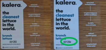 食品召回 Kalera Fresh Lettuce Products - recalled due to Salmonella Kalera Public Limited Company is voluntar... 照片 #2
